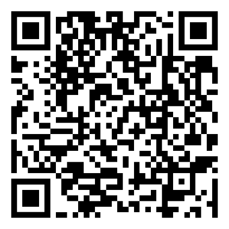 QR code that encodes https://localauthorityname.bus.gov.uk/stopinformation/1234567891011. The pattern is visibly denser than Figure 2, with smaller squares.